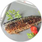 フォトギャラリー11