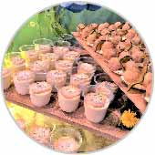 フォトギャラリー18