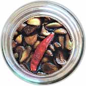 フォトギャラリー21